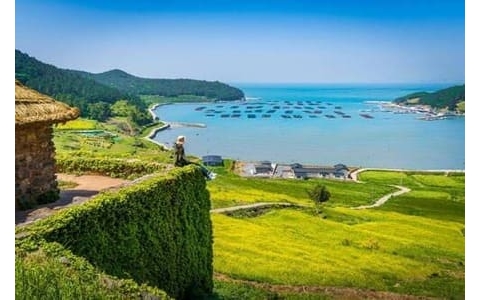 “若经济展望实现将加息！”日央行行长暗示12月加息，薪资谈判成关键决策点 ...